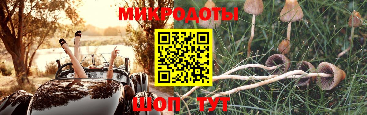 Рузаевка  Галлюциногенные грибы GOLDEN TEACHER  Вход с VPN 